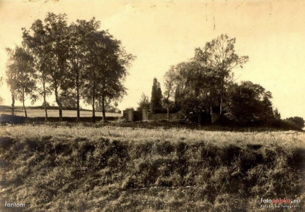 Fotografia prawdopodobnie starego cmentarza żydowskiego w Jeleniej Górze